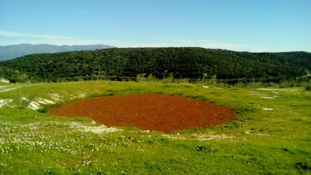 Apartamento O Casa Rural Roquemar Guijo de Granadilla Exteriér fotografie